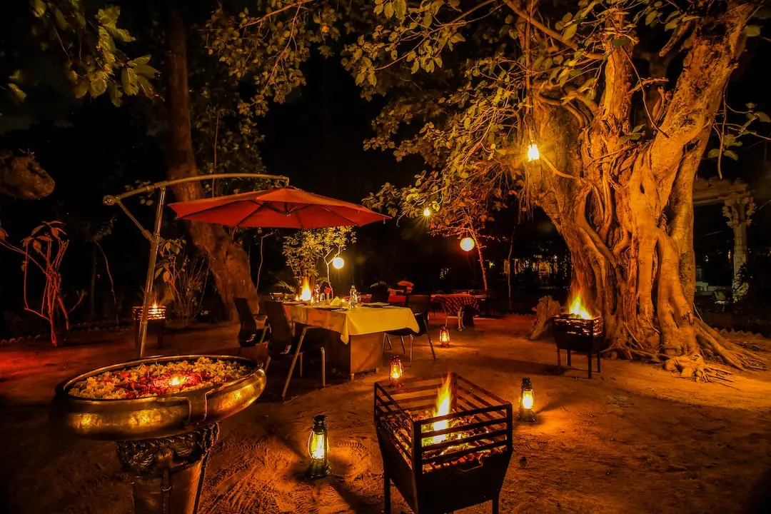 Bush-Dining-Experience-Syna Tiger Resort – Bandhavgarh Tiger Reserve-The Tiger Safari India