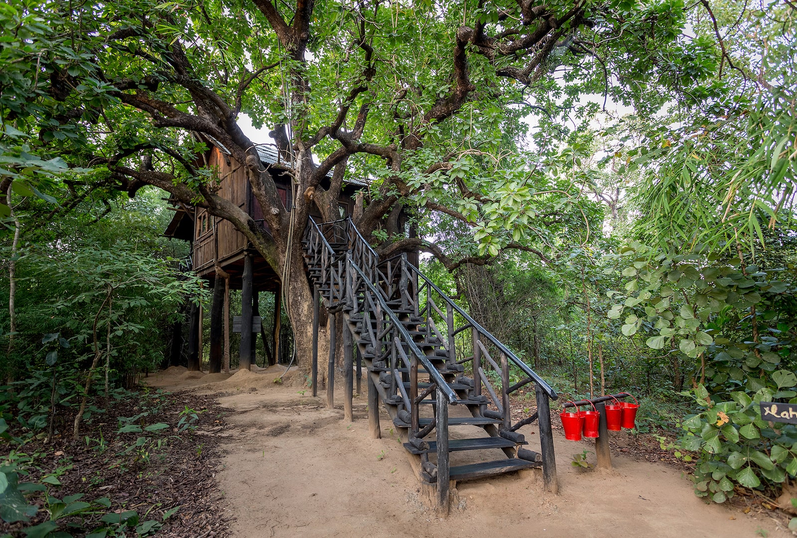 Tree House Hideway Bandhavgarh-Luxury Resorts-Jungle Stays-Jungle Lodge-Tiger Safari Packages-The Tiger Safari Tours