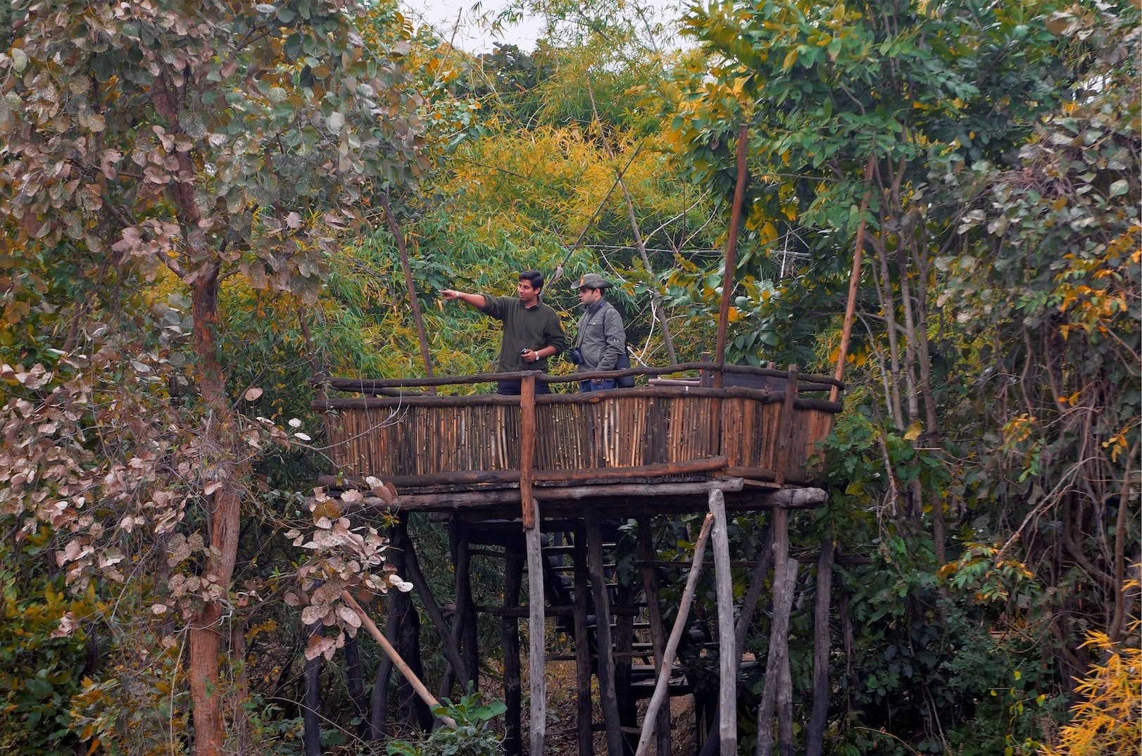 Tree House Hideway Bandhavgarh-Luxury Resorts-Jungle Stays-Jungle Lodge-Tiger Safari Packages-The Tiger Safari Tours