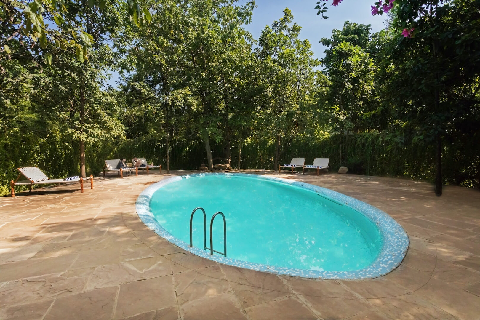 Pench Jungle Camp, Pench Tiger Safari, Turia Zone Pench, Jungle Camp in Pench, Pench Safari Stay - The Tiger Safari