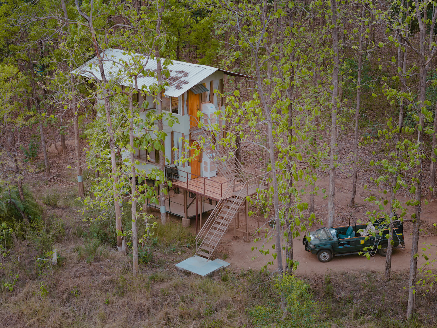 Rukhad Jungle Camp-Daldali Elevated Cottage, Rukhad forest safari, Dudhiya Elevated Cottage, Jal Mahal Cottage-The Tiger Safari