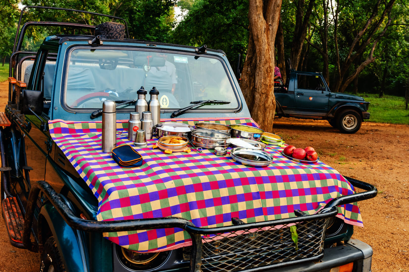 tadoba jungle camp,tadoba safari stay,tadoba tiger safari,jungle camp in tadoba,tadoba tiger reserve resort,moharli gate safari-The Tiger Safari