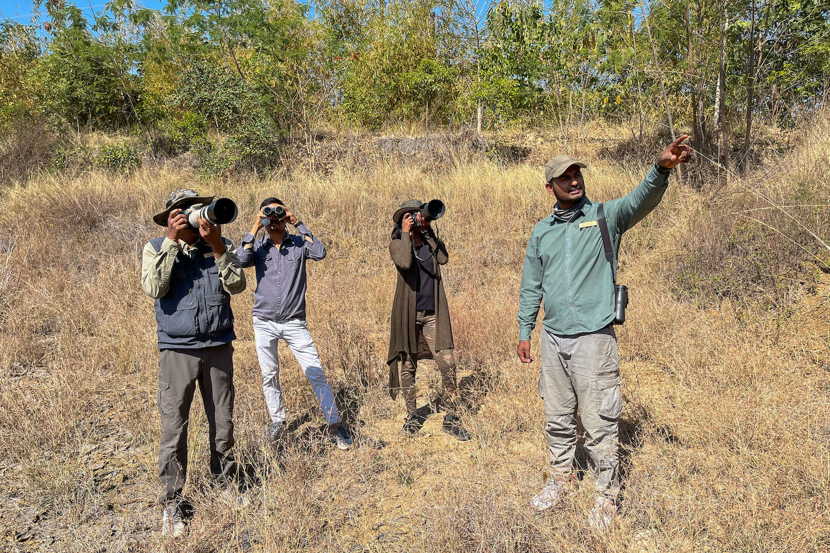 tadoba jungle camp,tadoba safari stay,tadoba tiger safari,jungle camp in tadoba,tadoba tiger reserve resort,moharli gate safari-The Tiger Safari