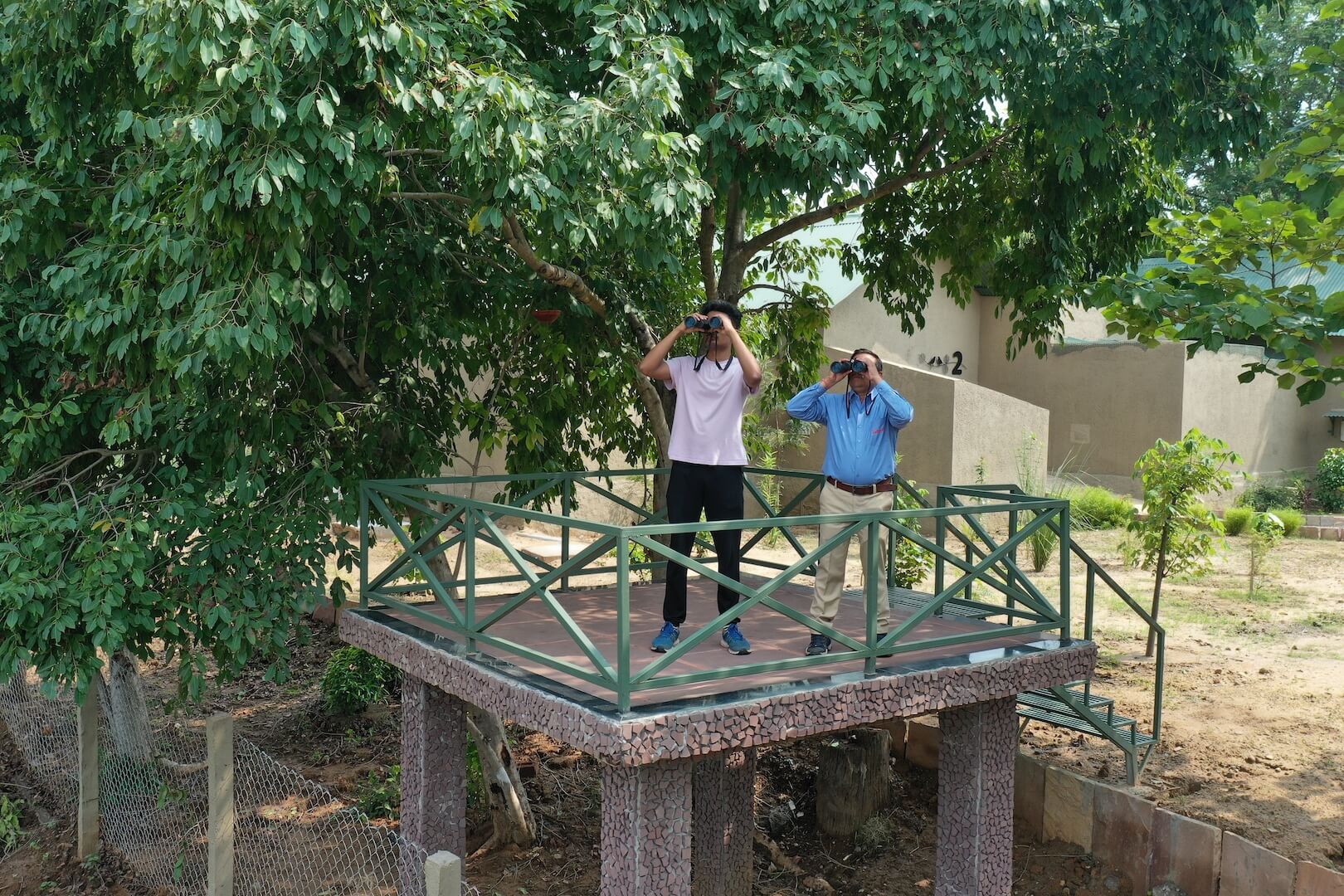 tathastu resort bandhavgarh, luxury resort, jungle resort, bandhavgarh safari stay, tiger safari, luxury jungle stay, wildlife packages, jeep safari - The Tiger Safari