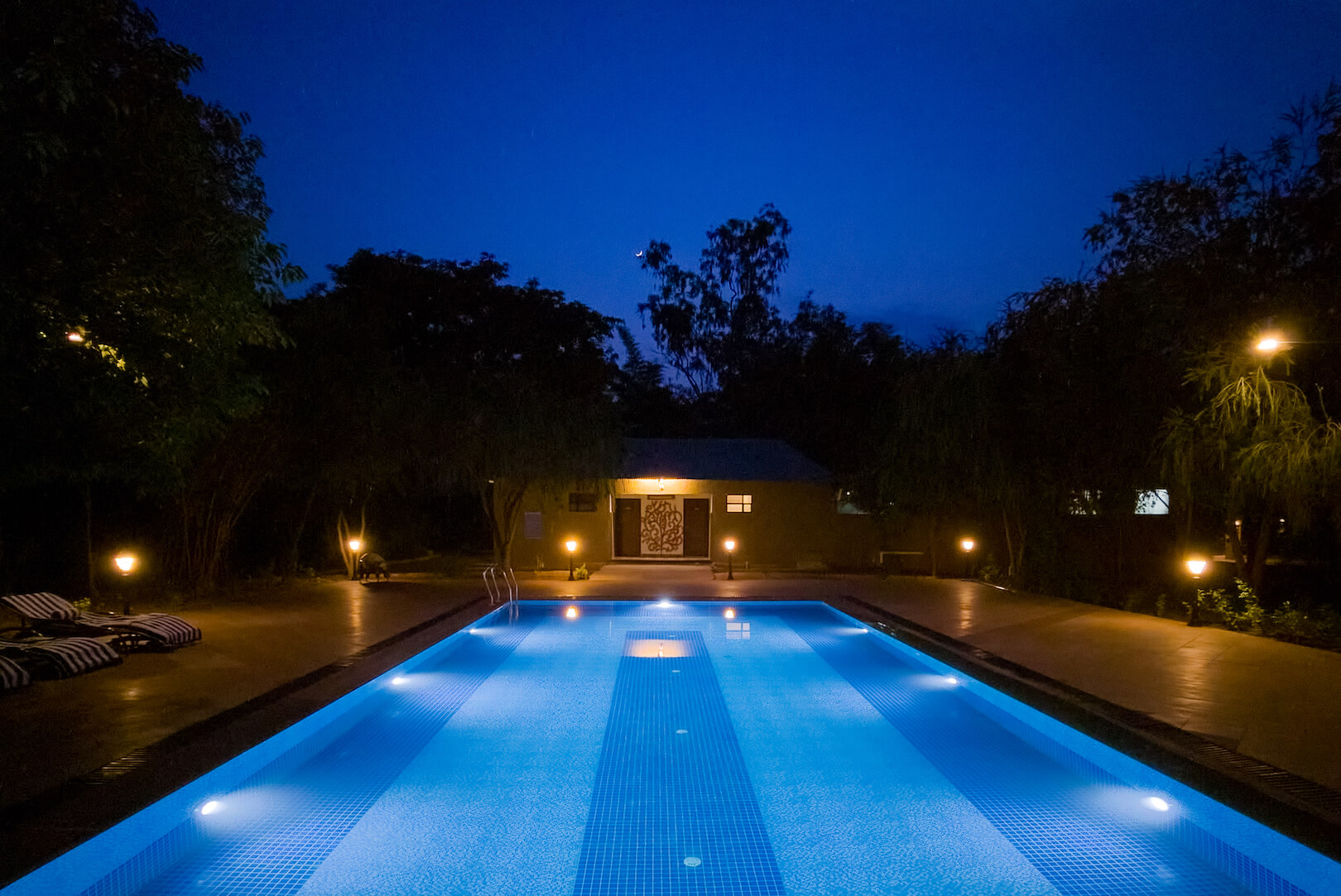 tathastu resort bandhavgarh, luxury resort, jungle resort, bandhavgarh safari stay, tiger safari, luxury jungle stay, wildlife packages, jeep safari - The Tiger Safari