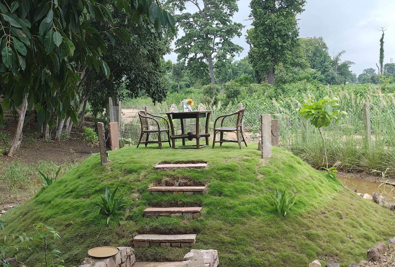 tathastu resort bandhavgarh, luxury resort, jungle resort, bandhavgarh safari stay, tiger safari, luxury jungle stay, wildlife packages, jeep safari - The Tiger Safari