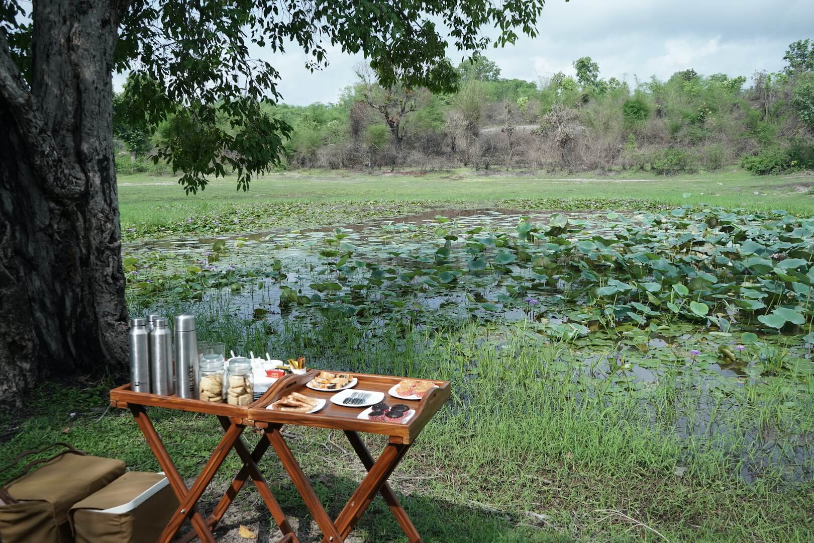 tathastu resort bandhavgarh, luxury resort, jungle resort, bandhavgarh safari stay, tiger safari, luxury jungle stay, wildlife packages, jeep safari - The Tiger Safari