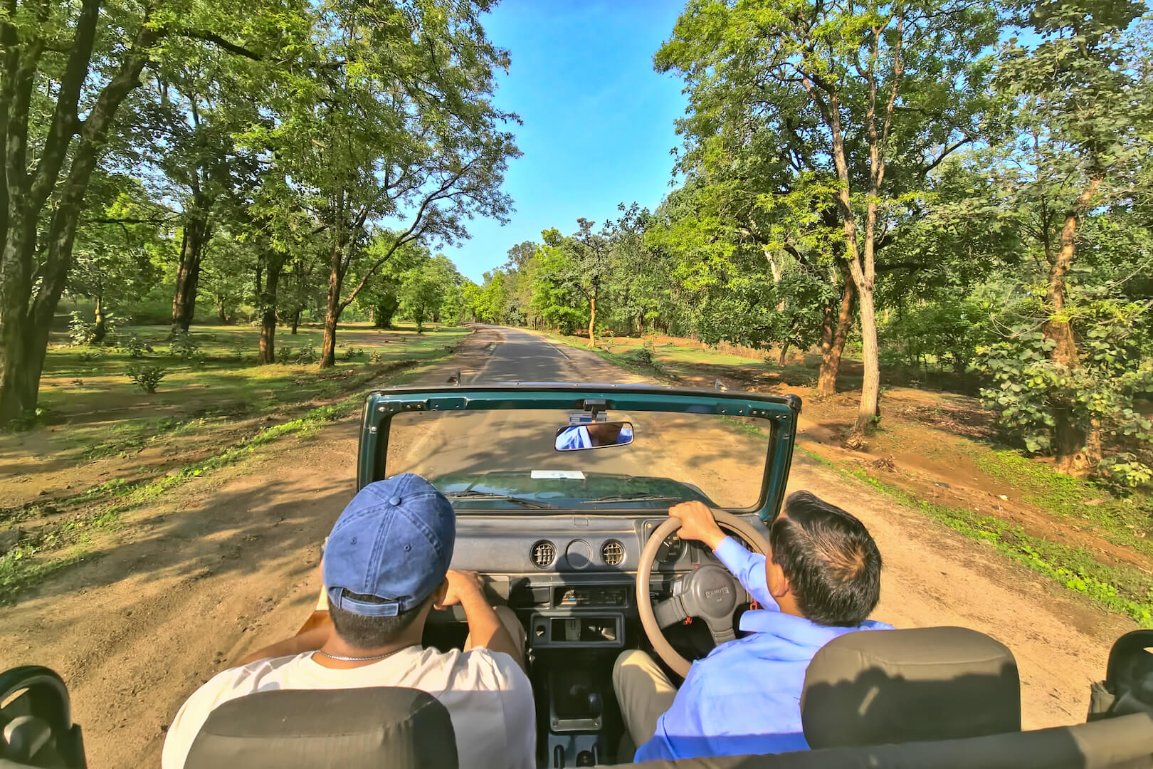 tathastu resort bandhavgarh, luxury resort, jungle resort, bandhavgarh safari stay, tiger safari, luxury jungle stay, wildlife packages, jeep safari - The Tiger Safari