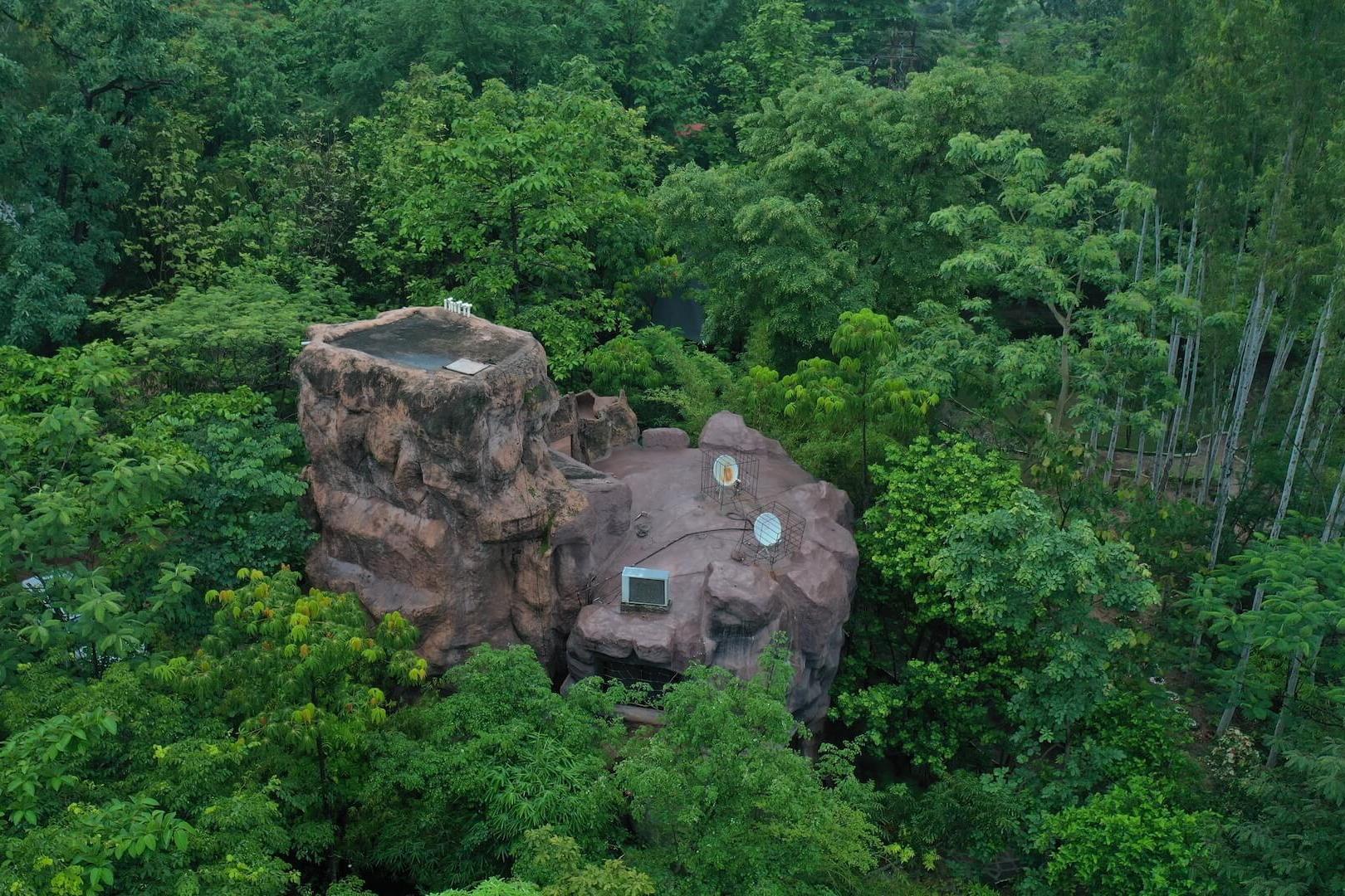 tathastu resort pench, pench jungle resort, turia zone pench stay, pench safari stay, pench tiger reserve resort, pench wildlife resort, The Tiger Safari