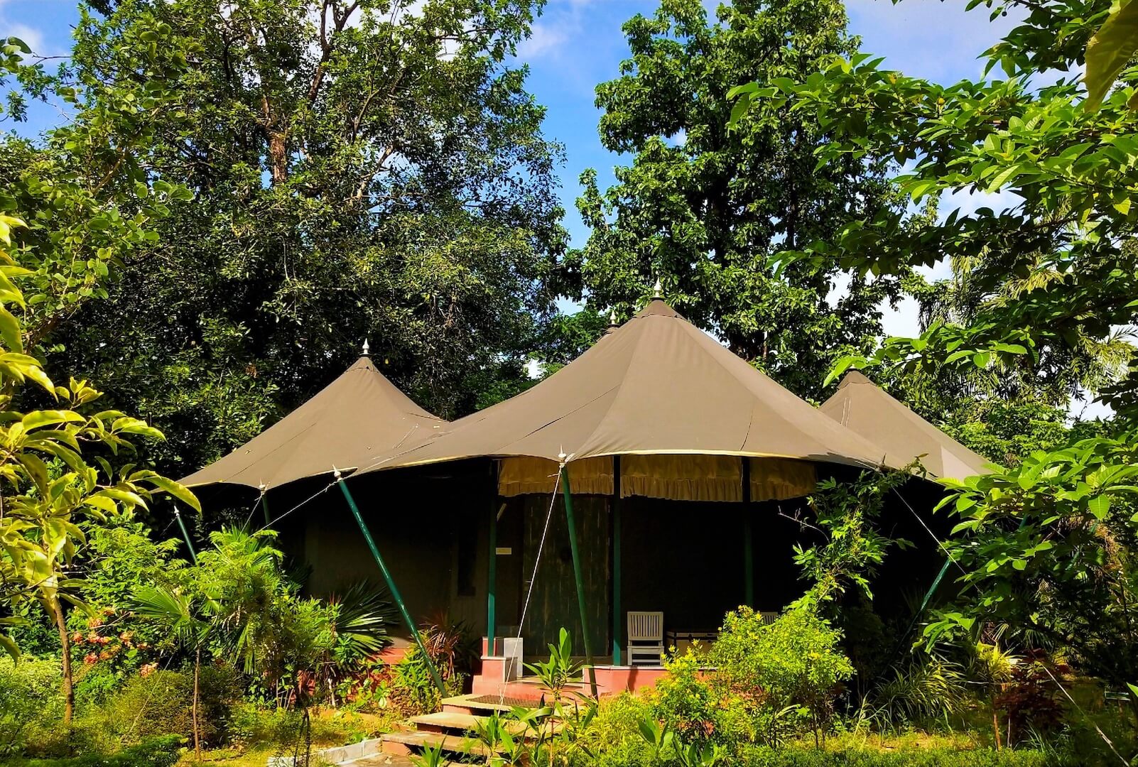 tathastu resort pench, pench jungle resort, turia zone pench stay, pench safari stay, pench tiger reserve resort, pench wildlife resort, The Tiger Safari