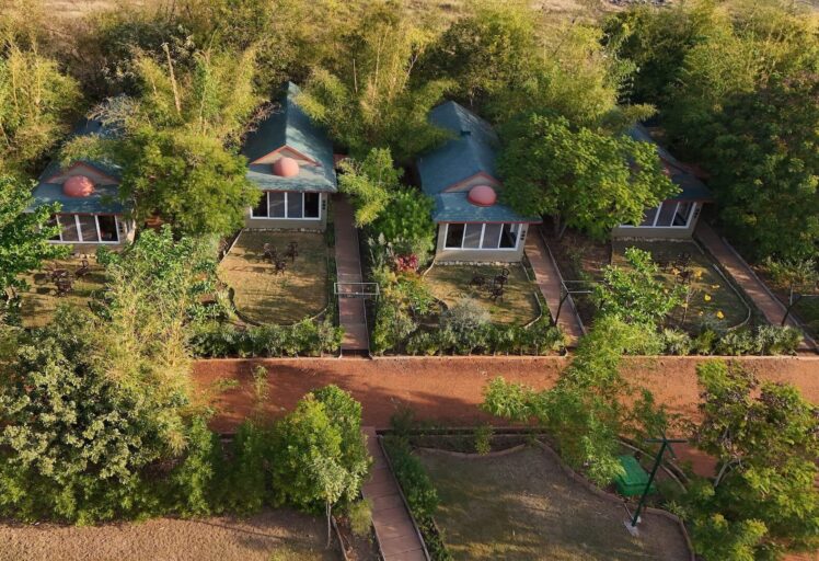 tathastu resort tadoba, tadoba jungle resort, tadoba tiger reserve lodge, family resort near tadoba, tadoba jungle cottages, tadoba wildlife resort-The Tiger Safari