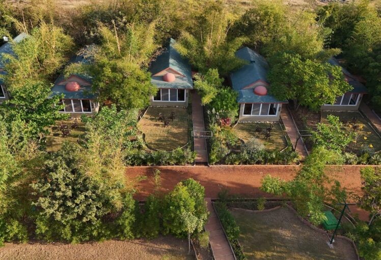 tathastu resort tadoba, tadoba jungle resort, tadoba tiger reserve lodge, family resort near tadoba, tadoba jungle cottages, tadoba wildlife resort-The Tiger Safari