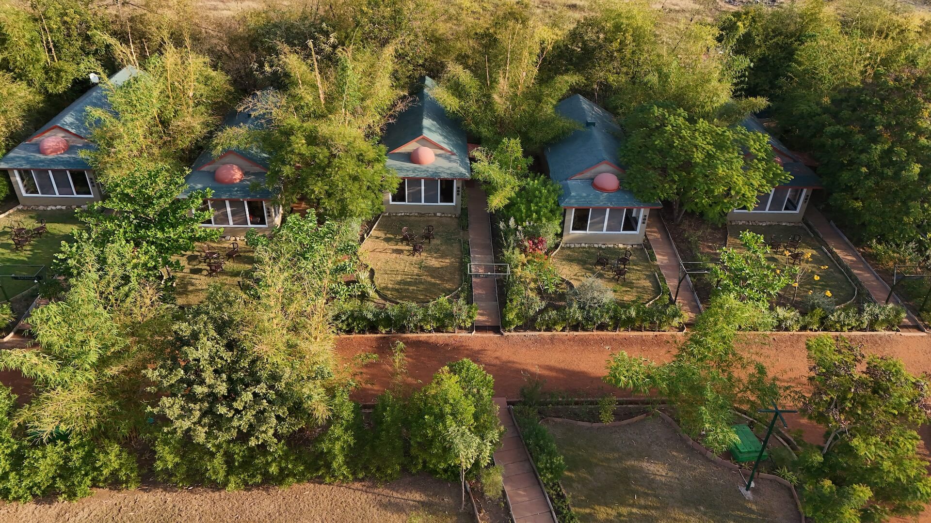 tathastu resort tadoba, tadoba jungle resort, tadoba tiger reserve lodge, family resort near tadoba, tadoba jungle cottages, tadoba wildlife resort-The Tiger Safari